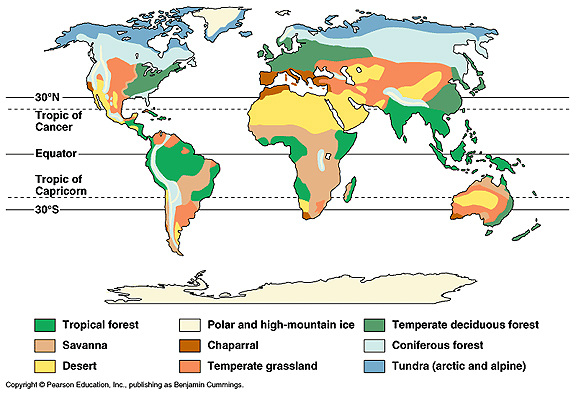 2 4 Rainforests Deserts Geography For 2020 Beyond